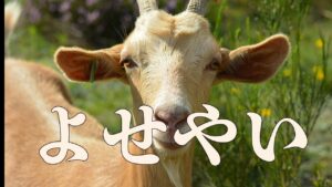 ドリヤ隊 vs めめめ隊 決戦バトル！ 【ボンバーマン】