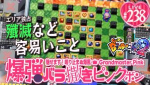 【スーパーボンバーマンR2】爆弾バラ撒きピンクボン #238【アウトドア般若心経】